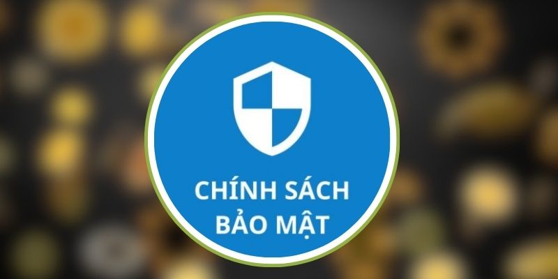 Tổng quan về chính sách bảo mật Letou